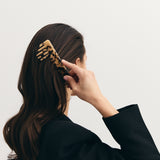 Utredningskam i acetat